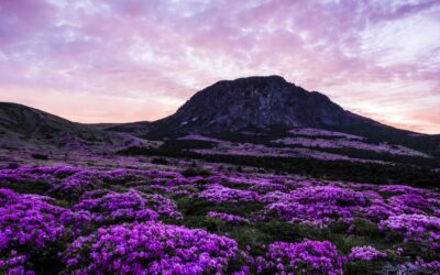 Những địa danh ‘sởn gai óc’ trên đảo Jeju: Thực hư từ phim đến đời
